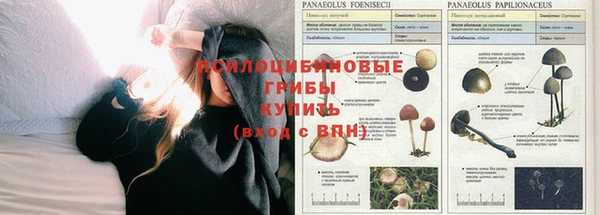 скорость Алзамай